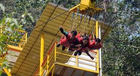 Flying Fox